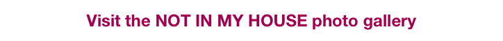 Visit the NOT IN MY HOUSE photo gallery